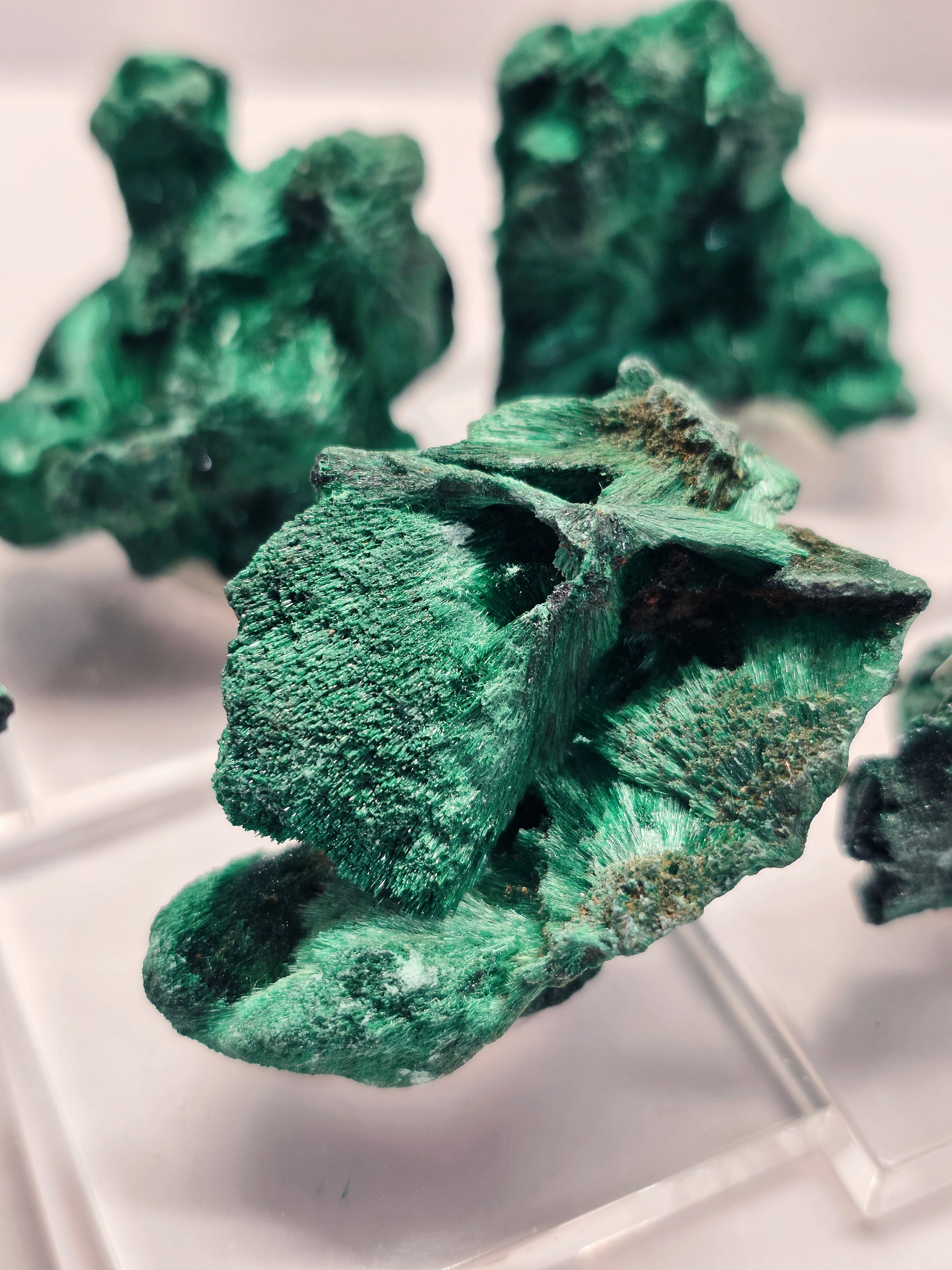 Fibrous Malachite • DRC