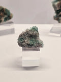 Specimen No. 115