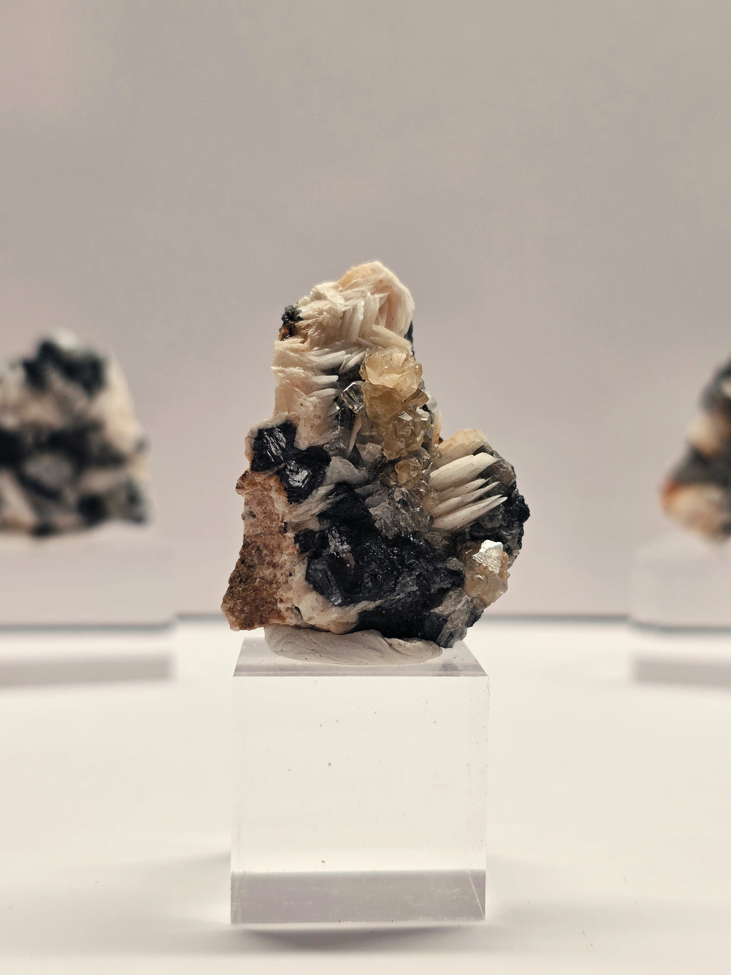 Specimen No. 032