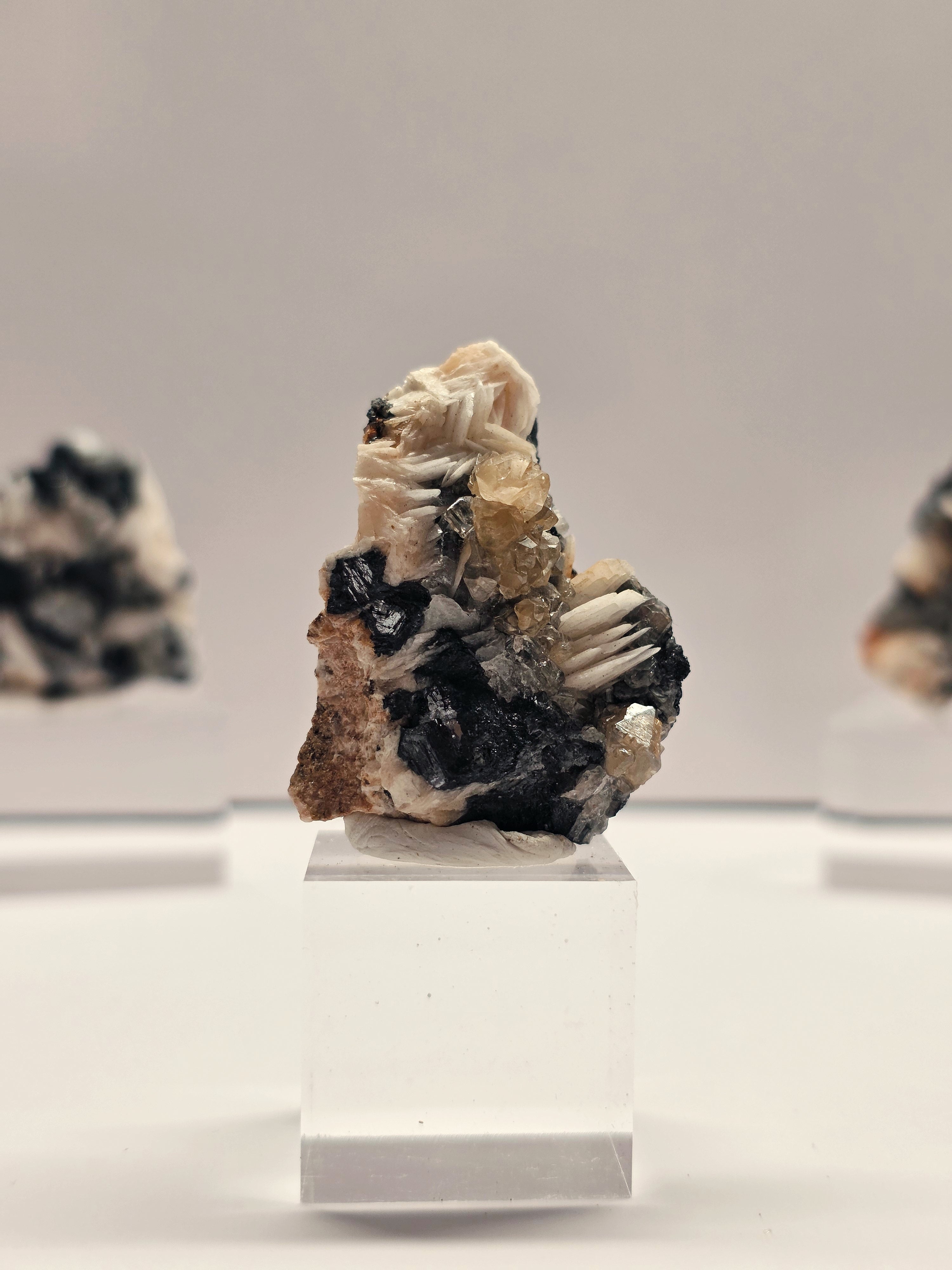 Specimen No. 032