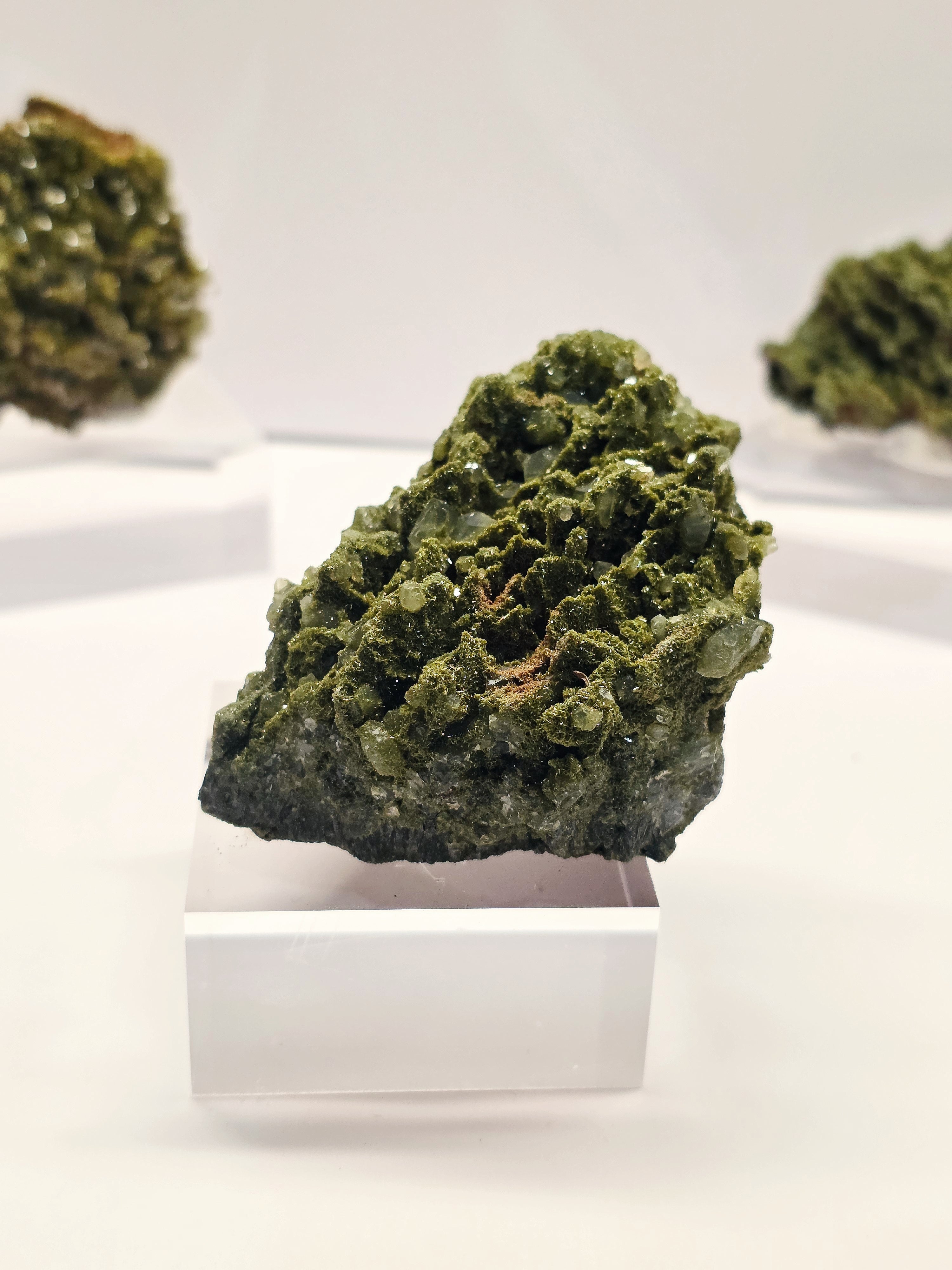 Specimen No. 050