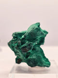 Specimen No. 240