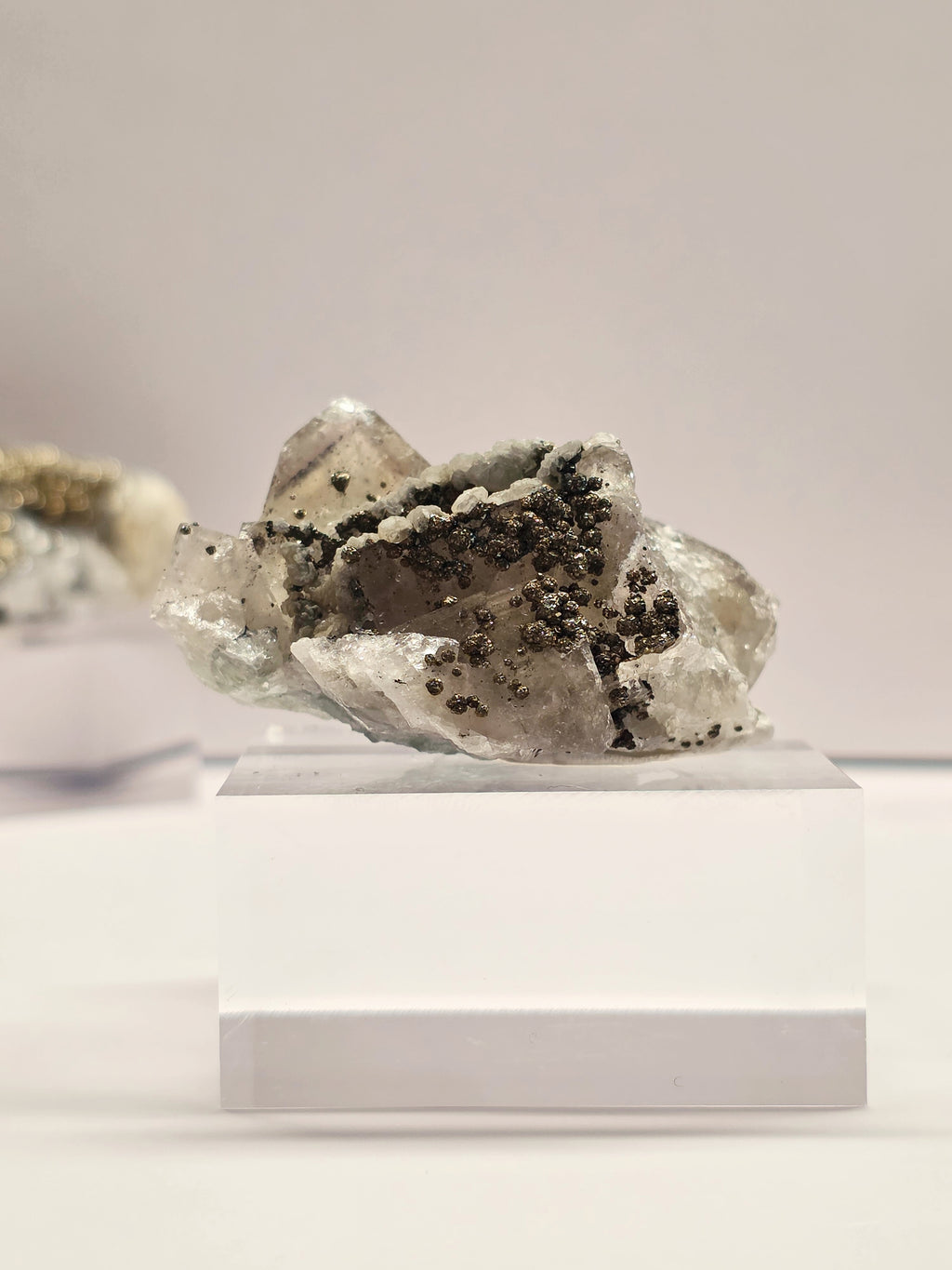Specimen No. 029