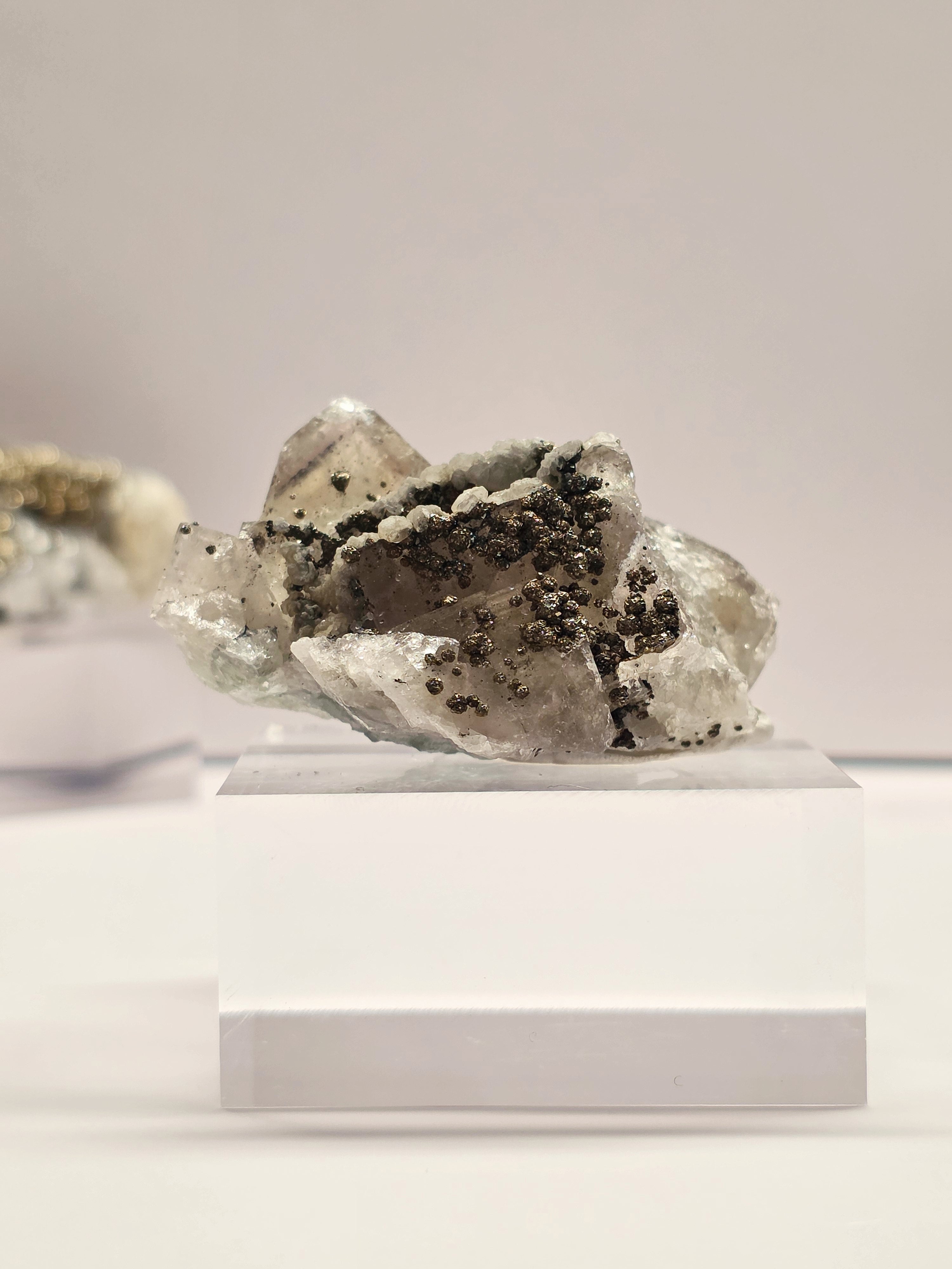 Specimen No. 029