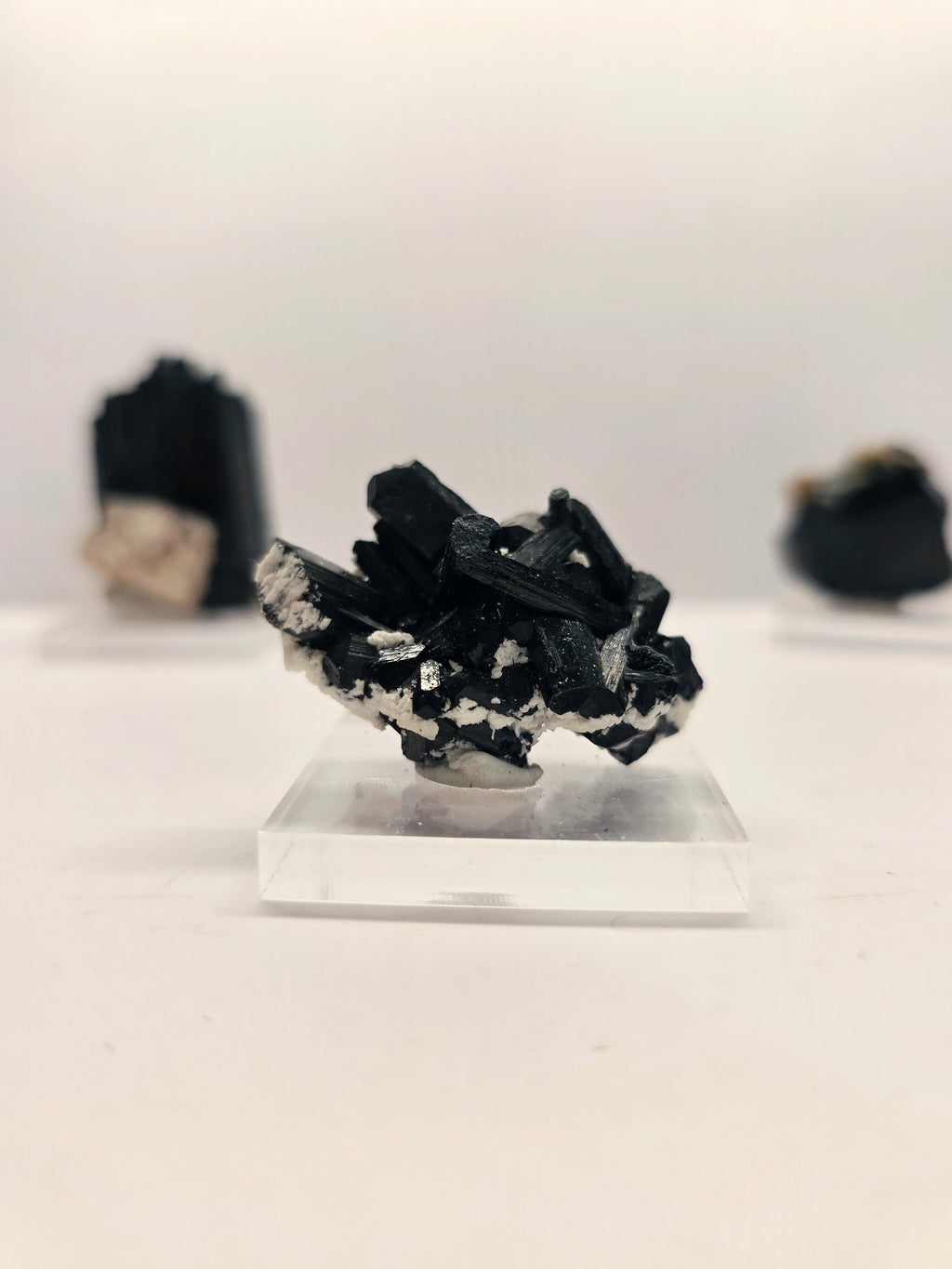 Specimen No. 262