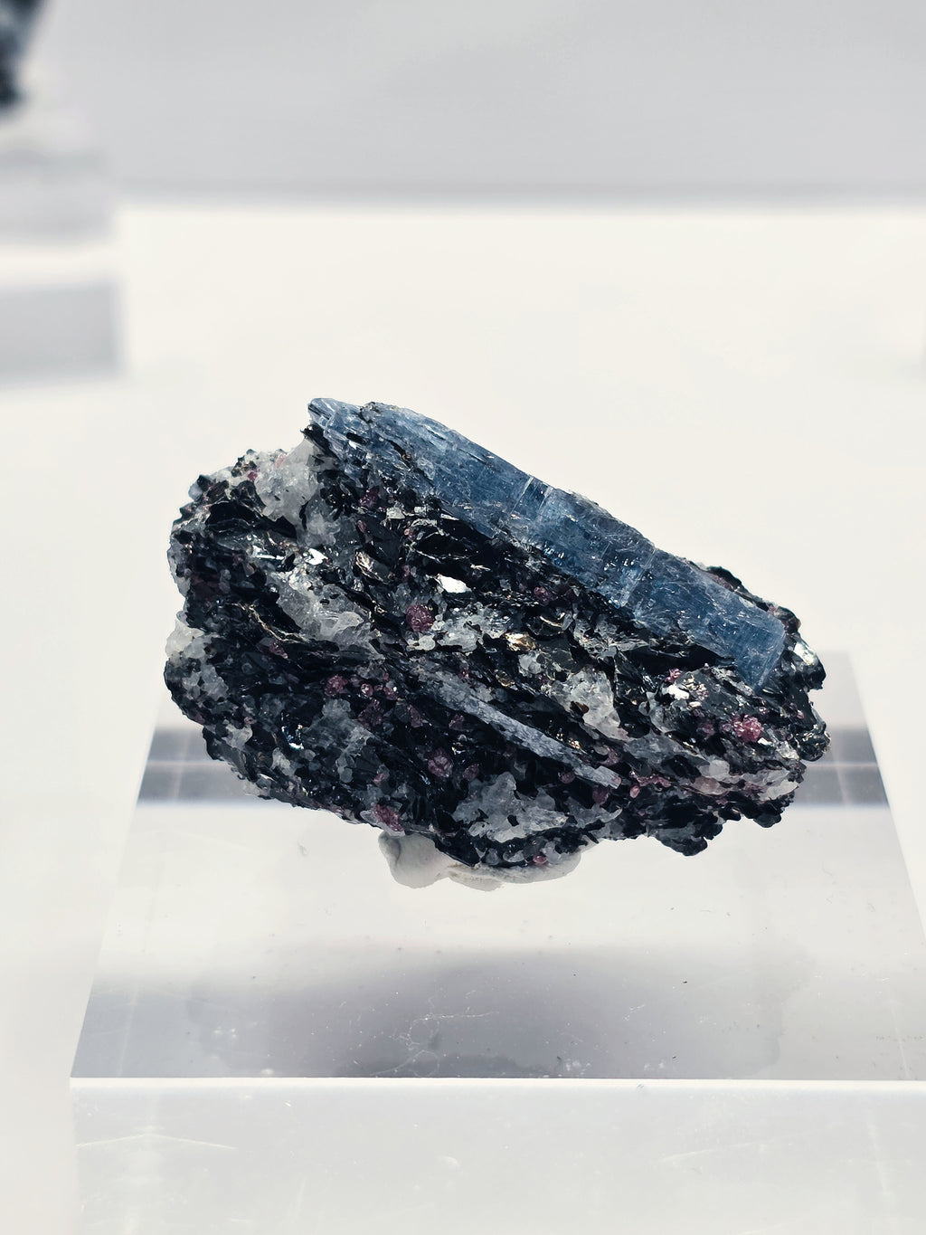 Specimen No. 054