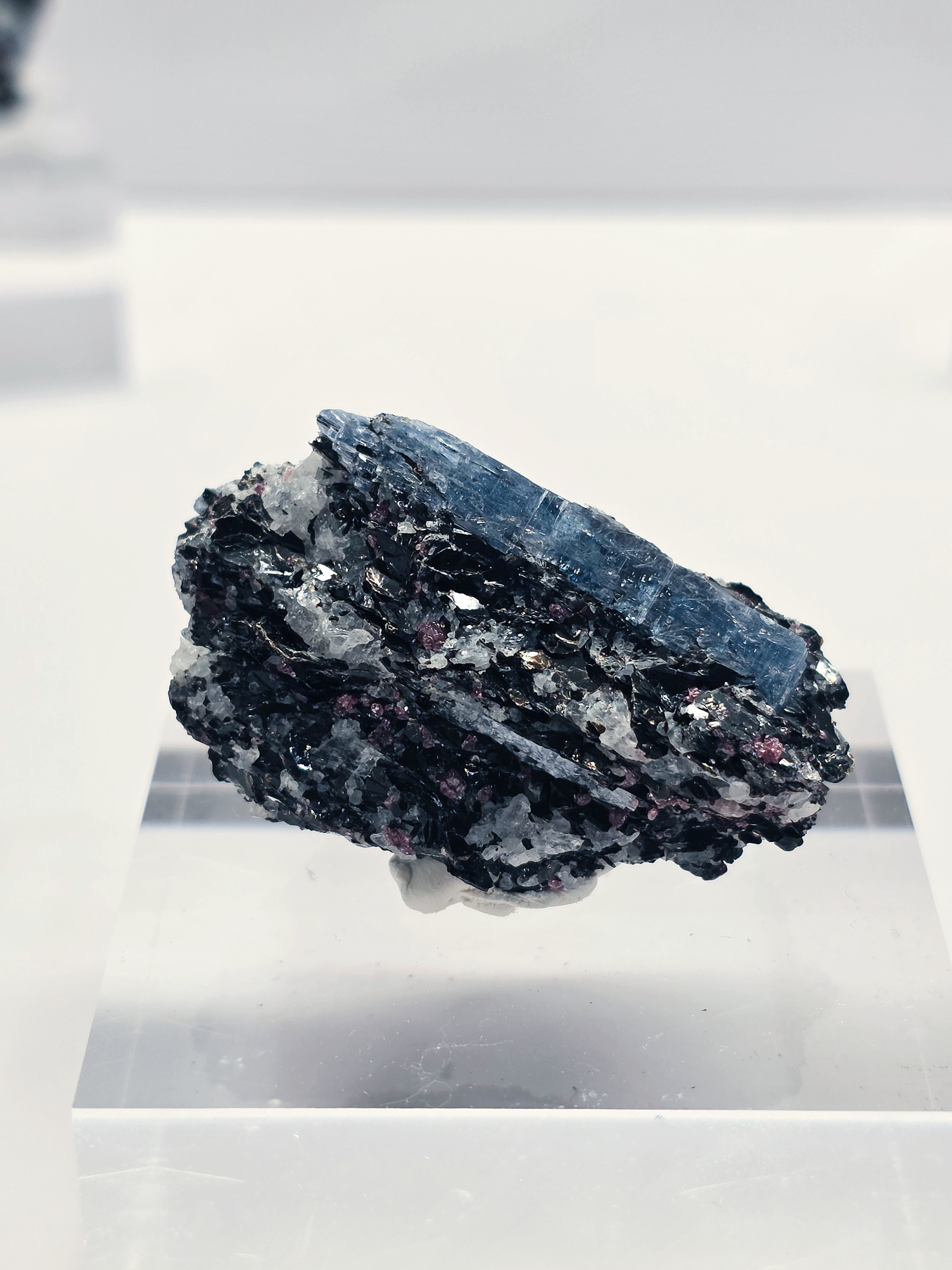 Specimen No. 054