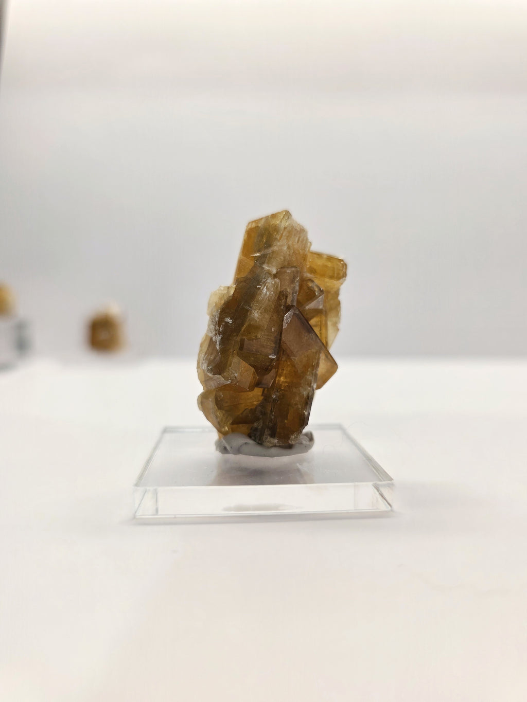 Specimen No. 201