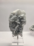 Specimen No. 084