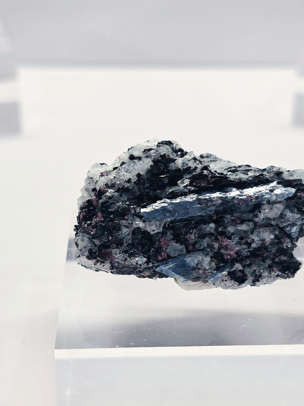 Specimen No. 058