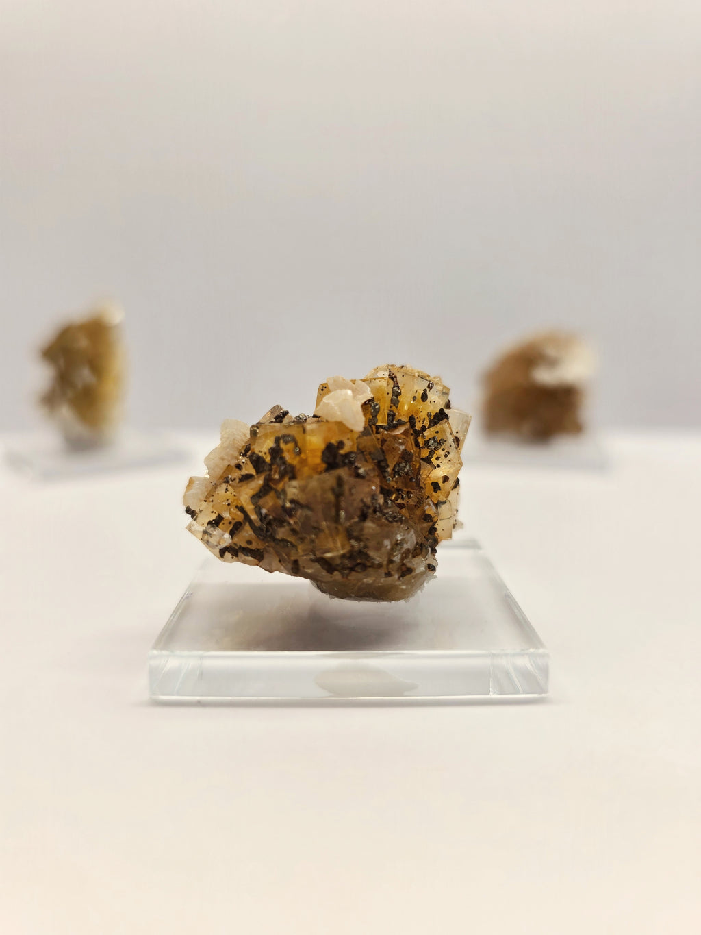 Specimen No. 190