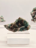 Specimen No. 120