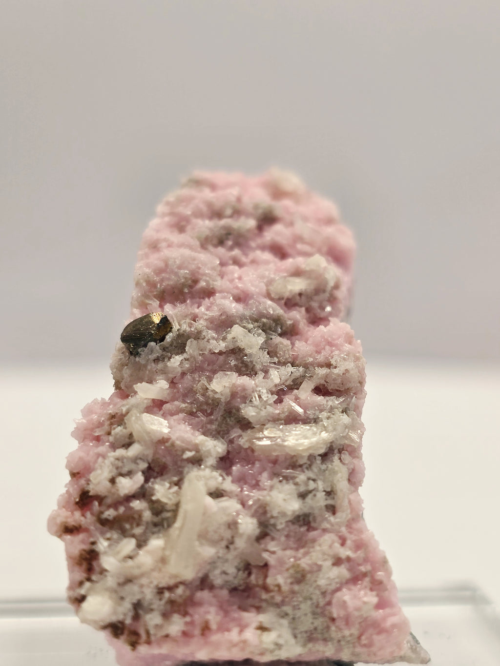 Specimen No. 138