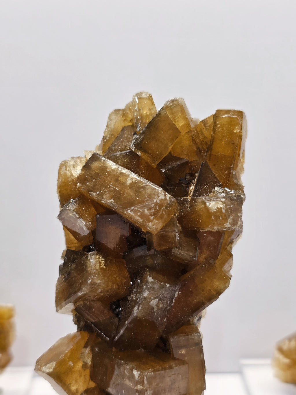 Specimen No. 196