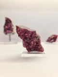 Specimen No. 156