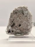 Specimen No. 215