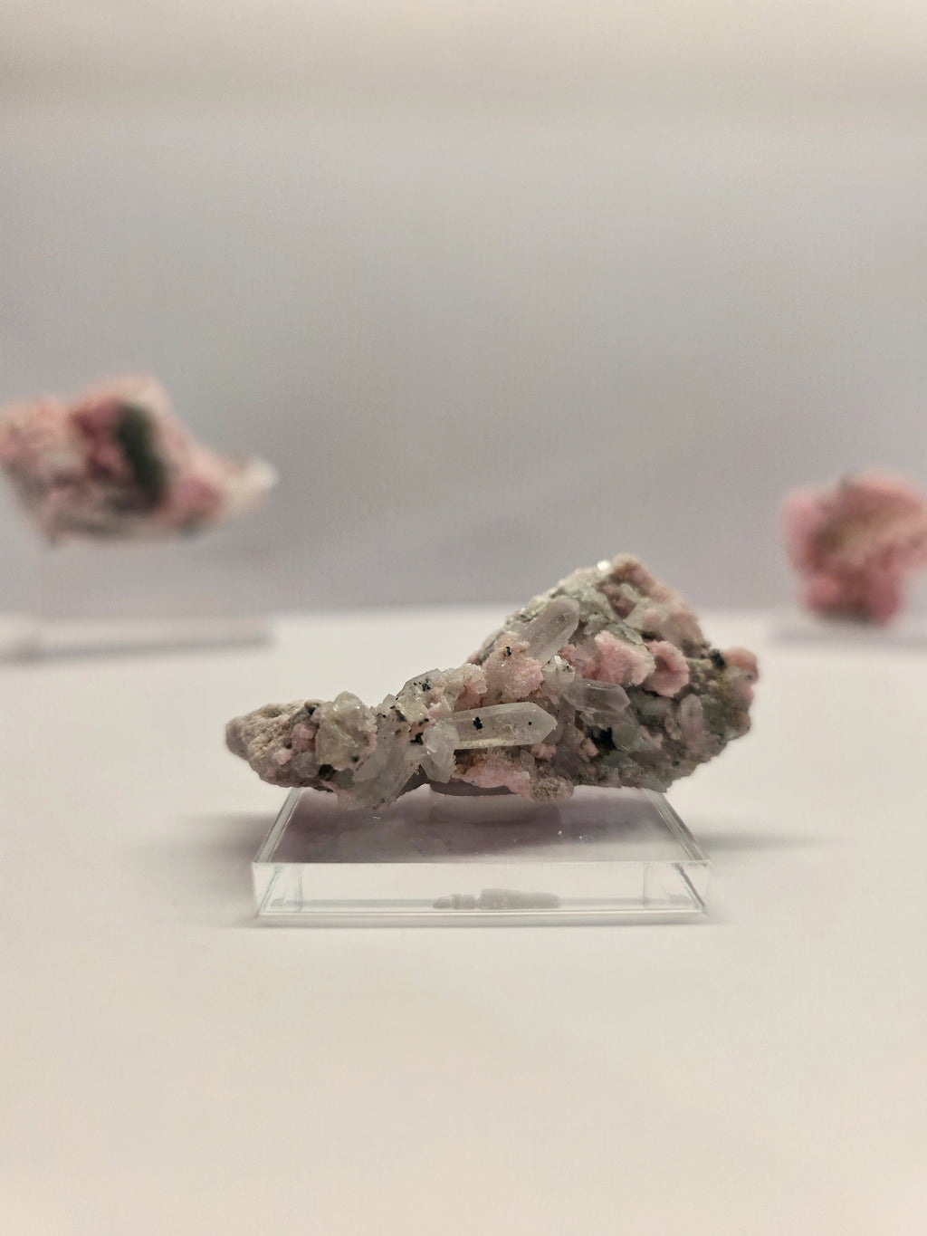 Specimen No. 140
