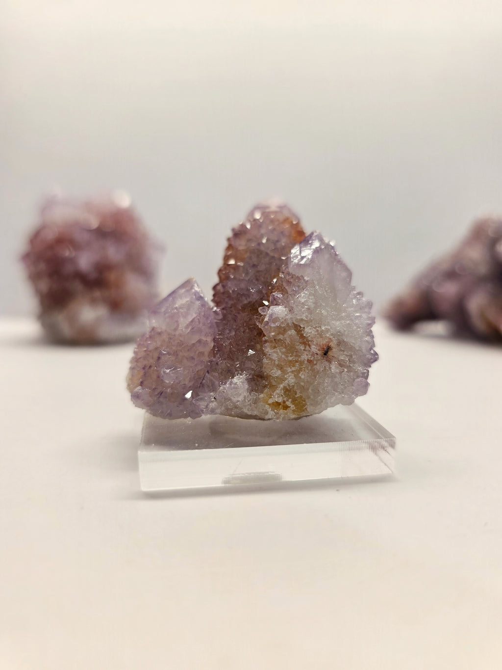 Specimen No. 243