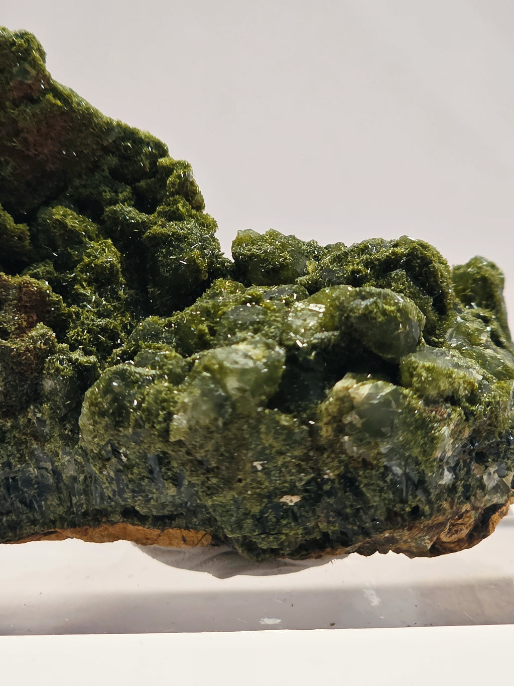 Specimen No. 048