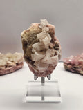 Specimen No. 014