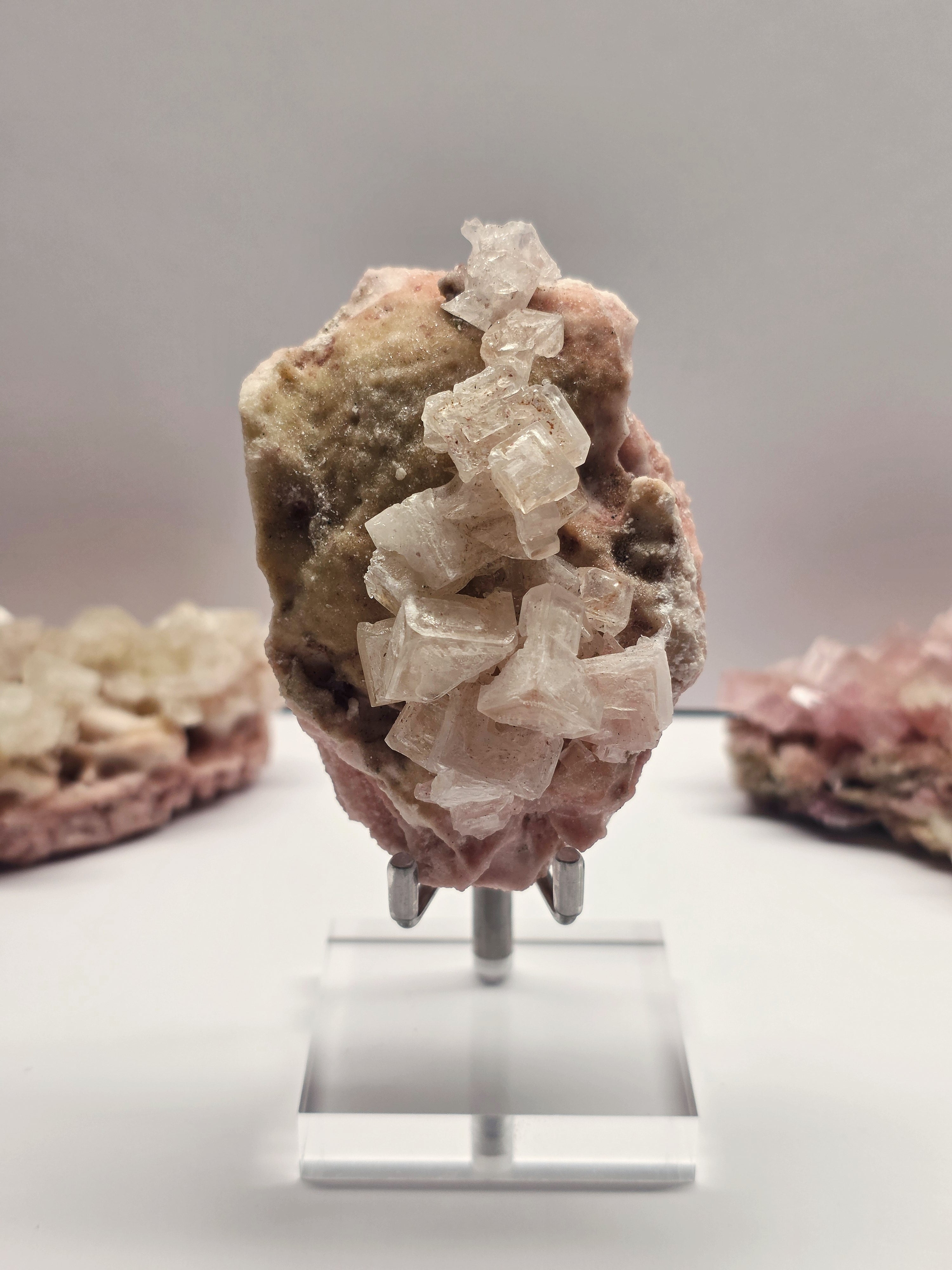Specimen No. 014
