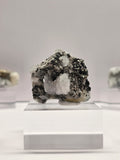 Specimen No. 020
