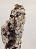 Specimen No. 162