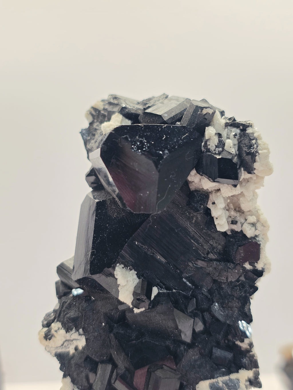 Specimen No. 266