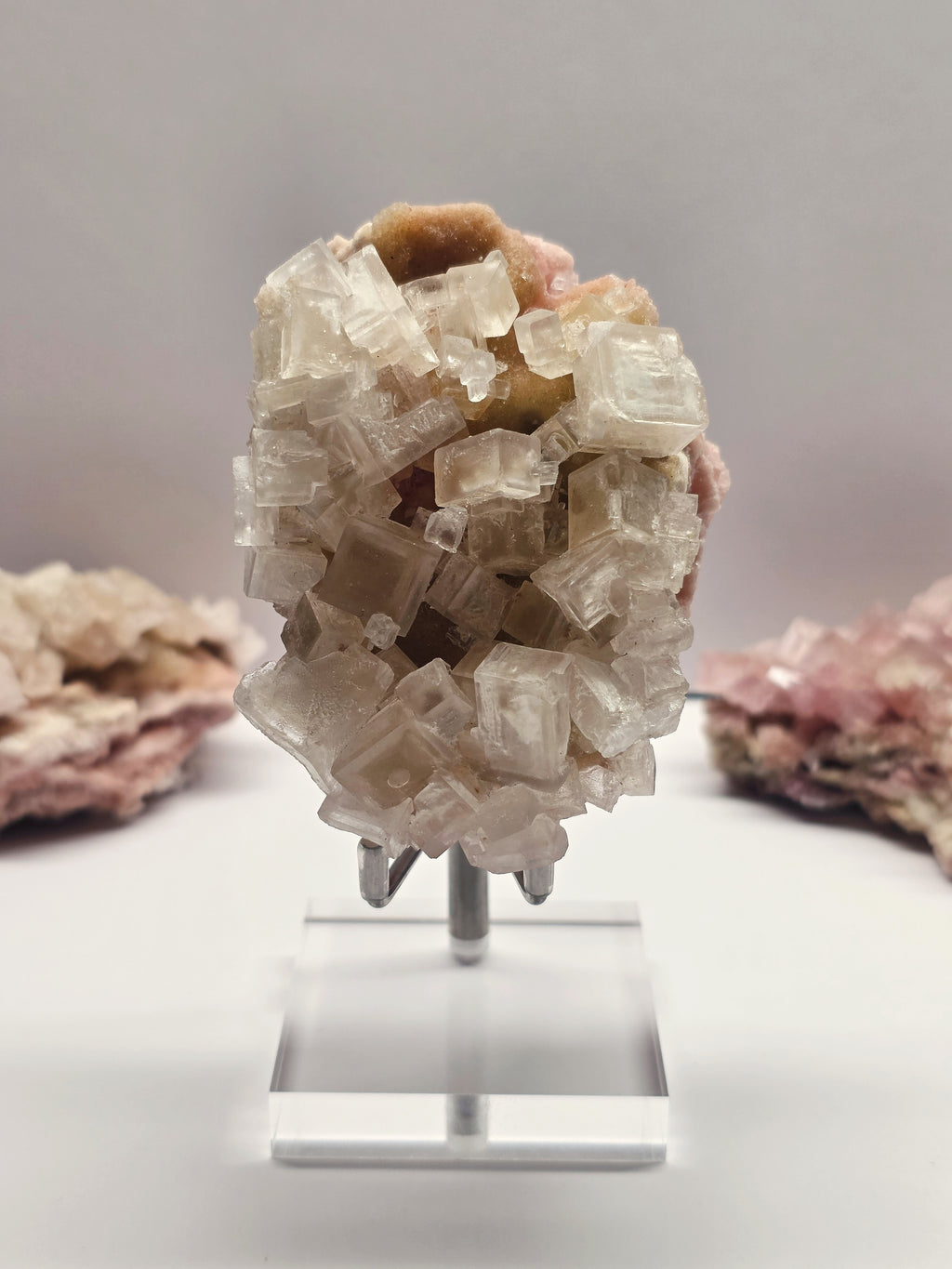 Specimen No. 017