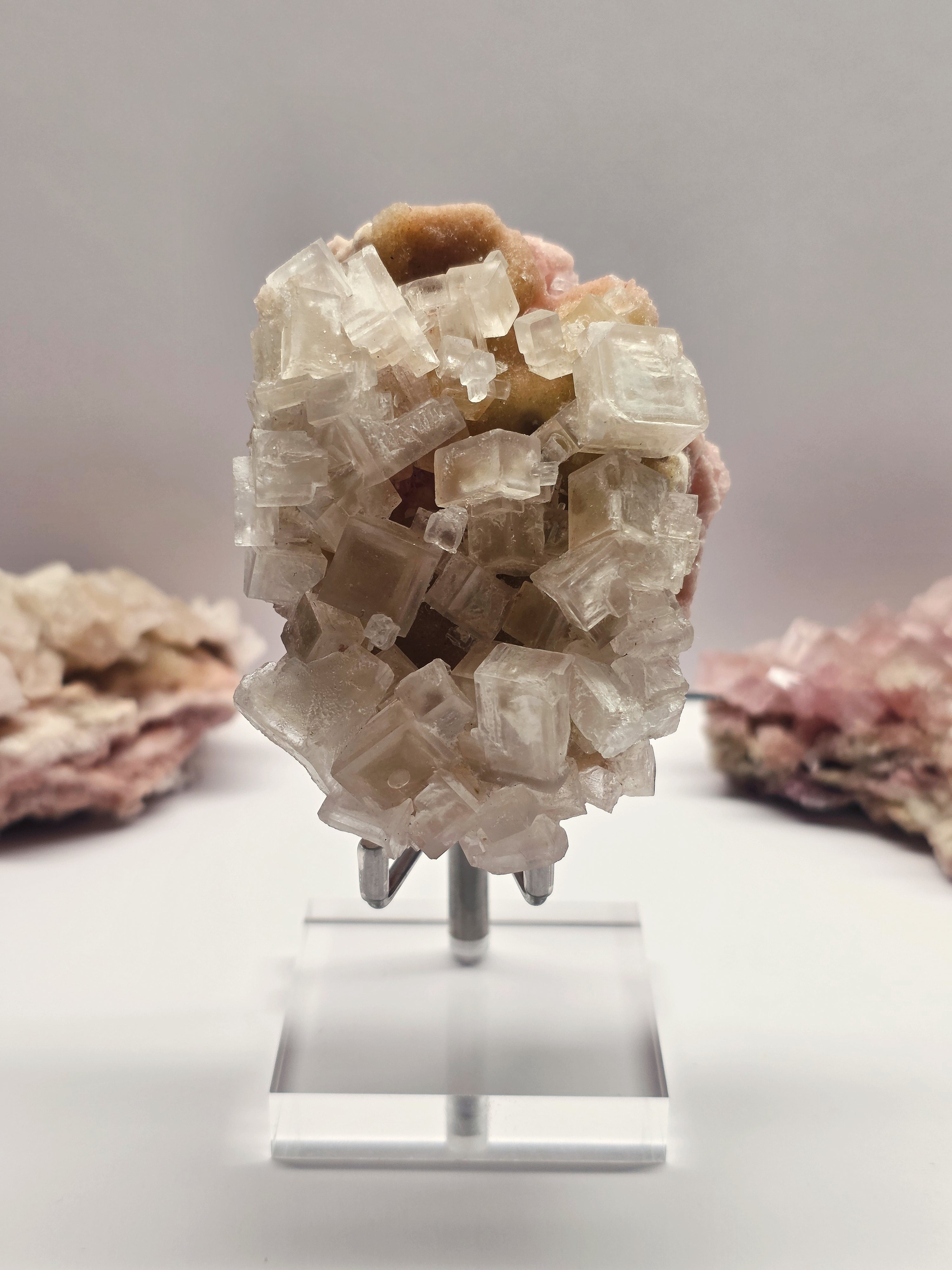 Specimen No. 017