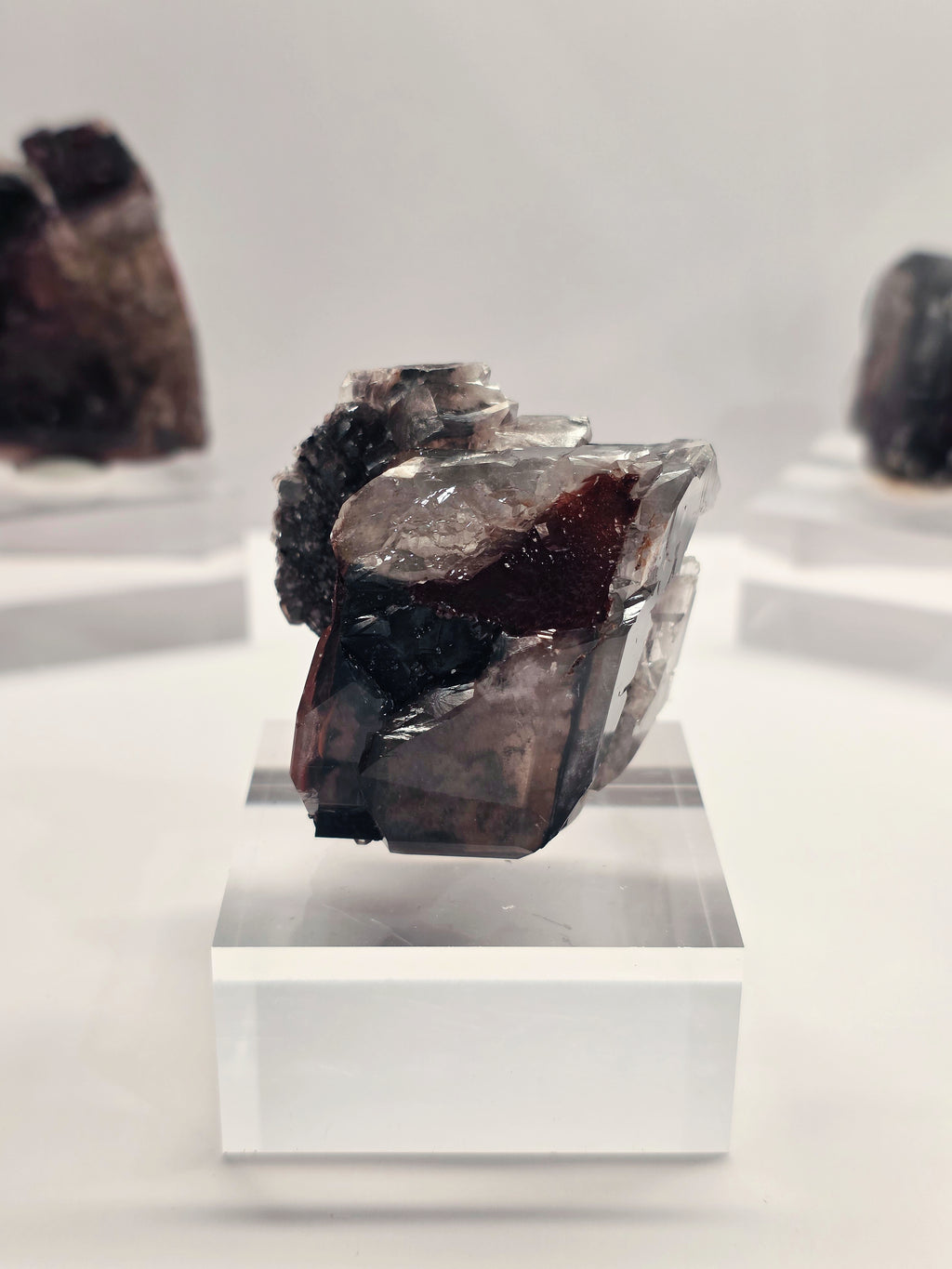 Specimen No. 081