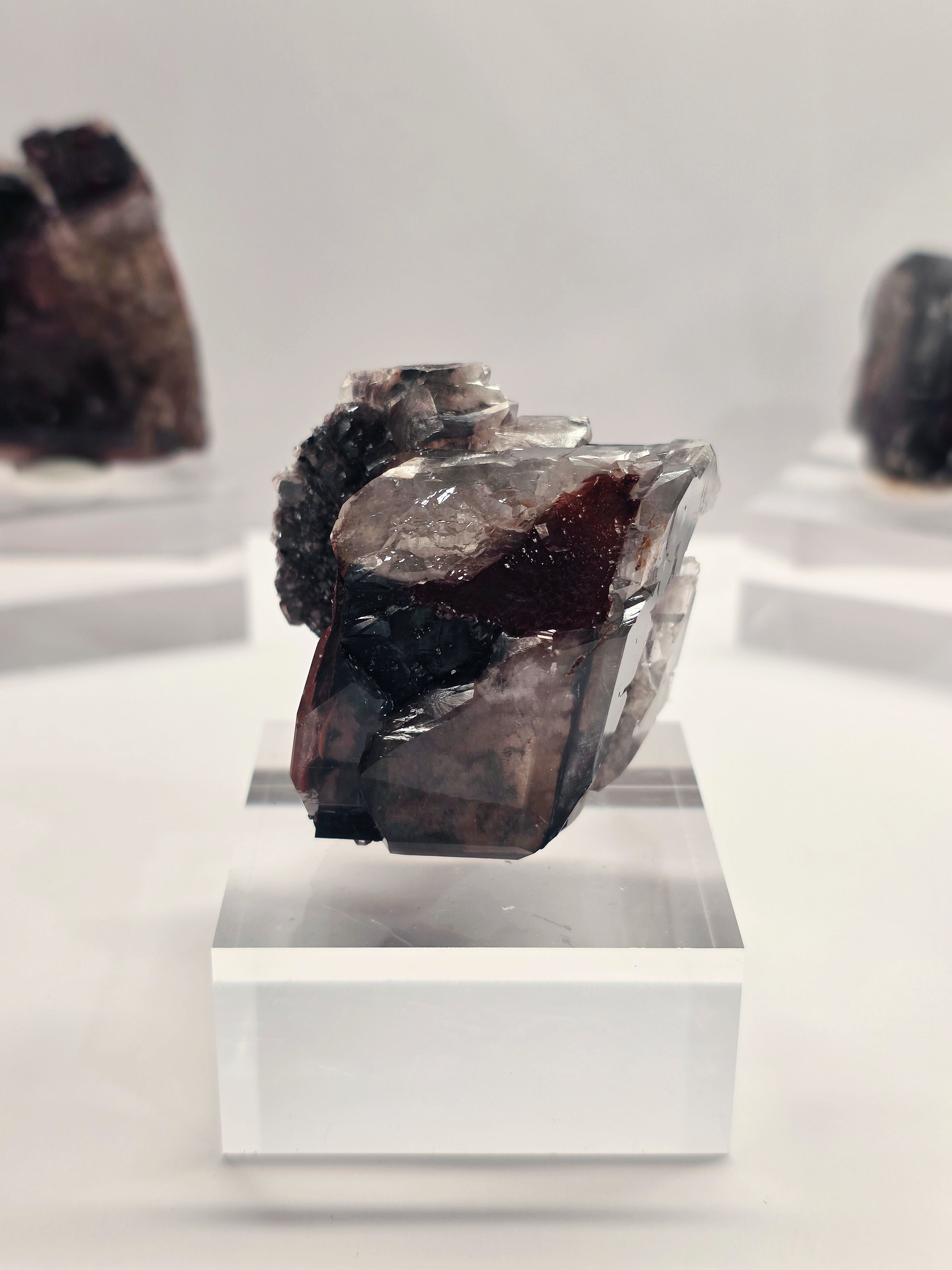 Specimen No. 081