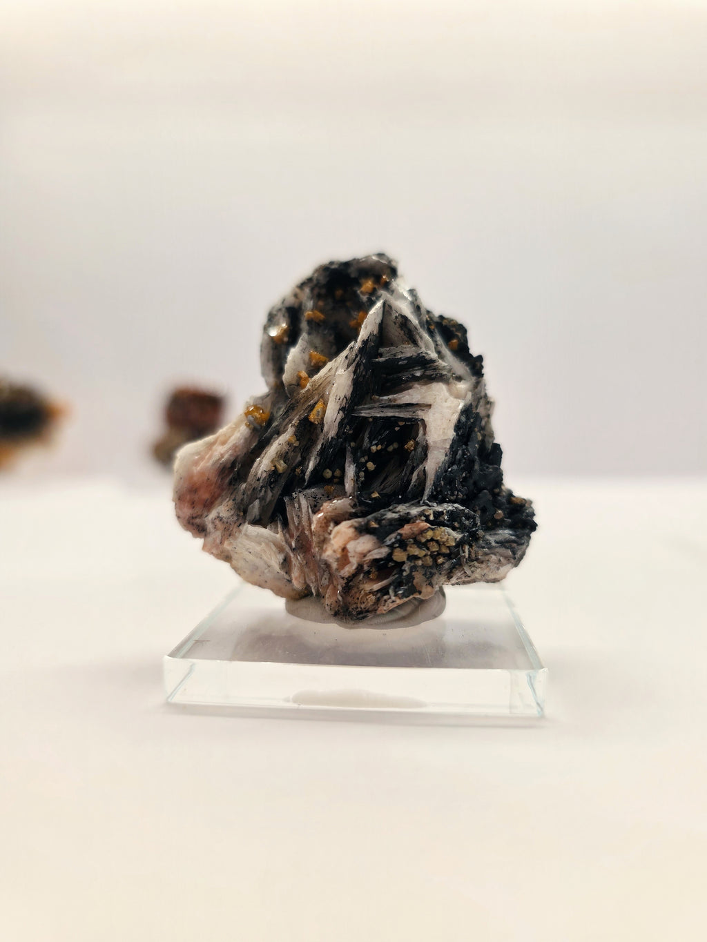 Specimen No. 209