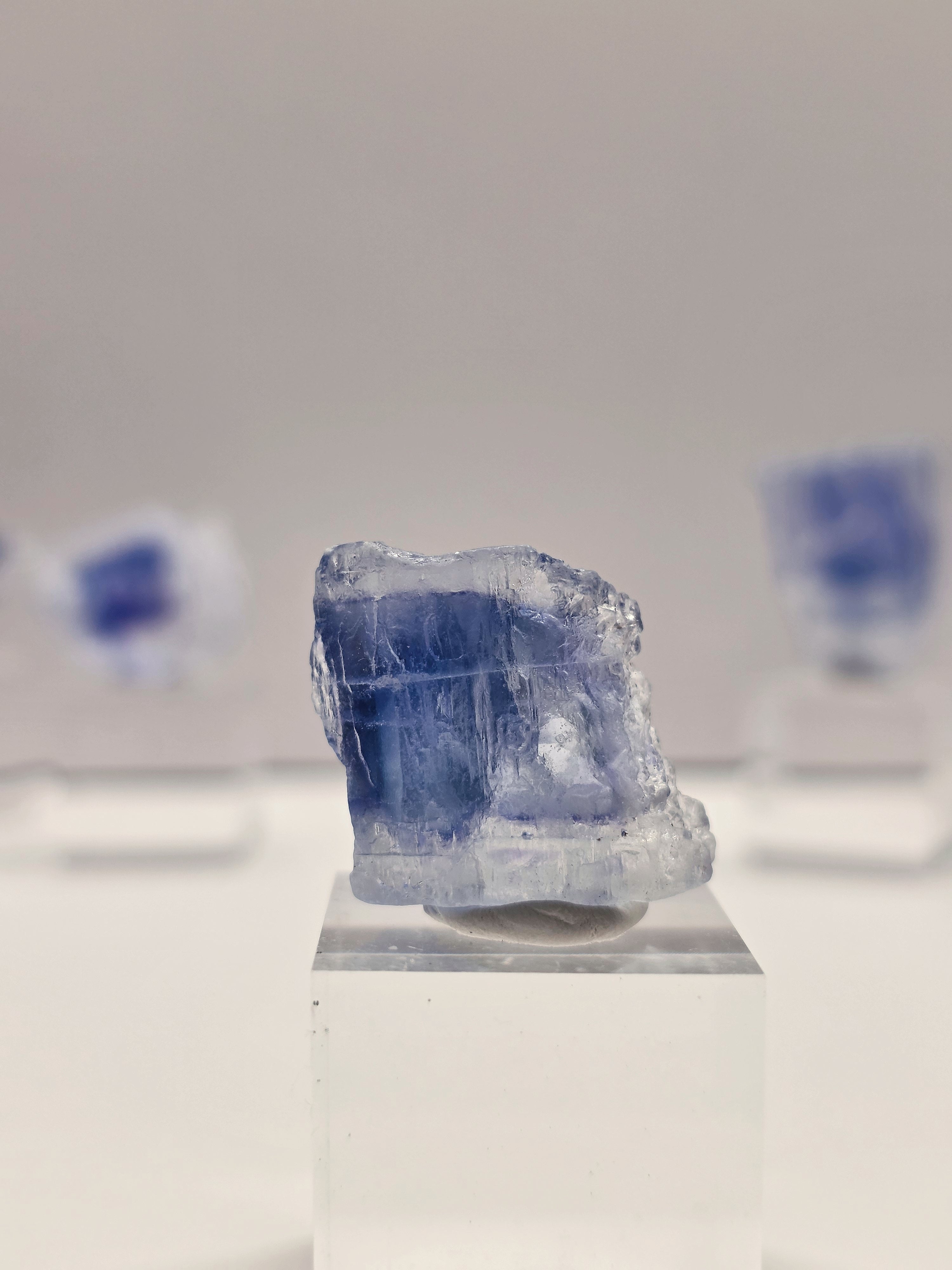 Specimen No. 007
