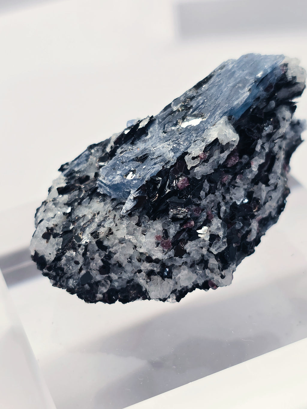Specimen No. 061
