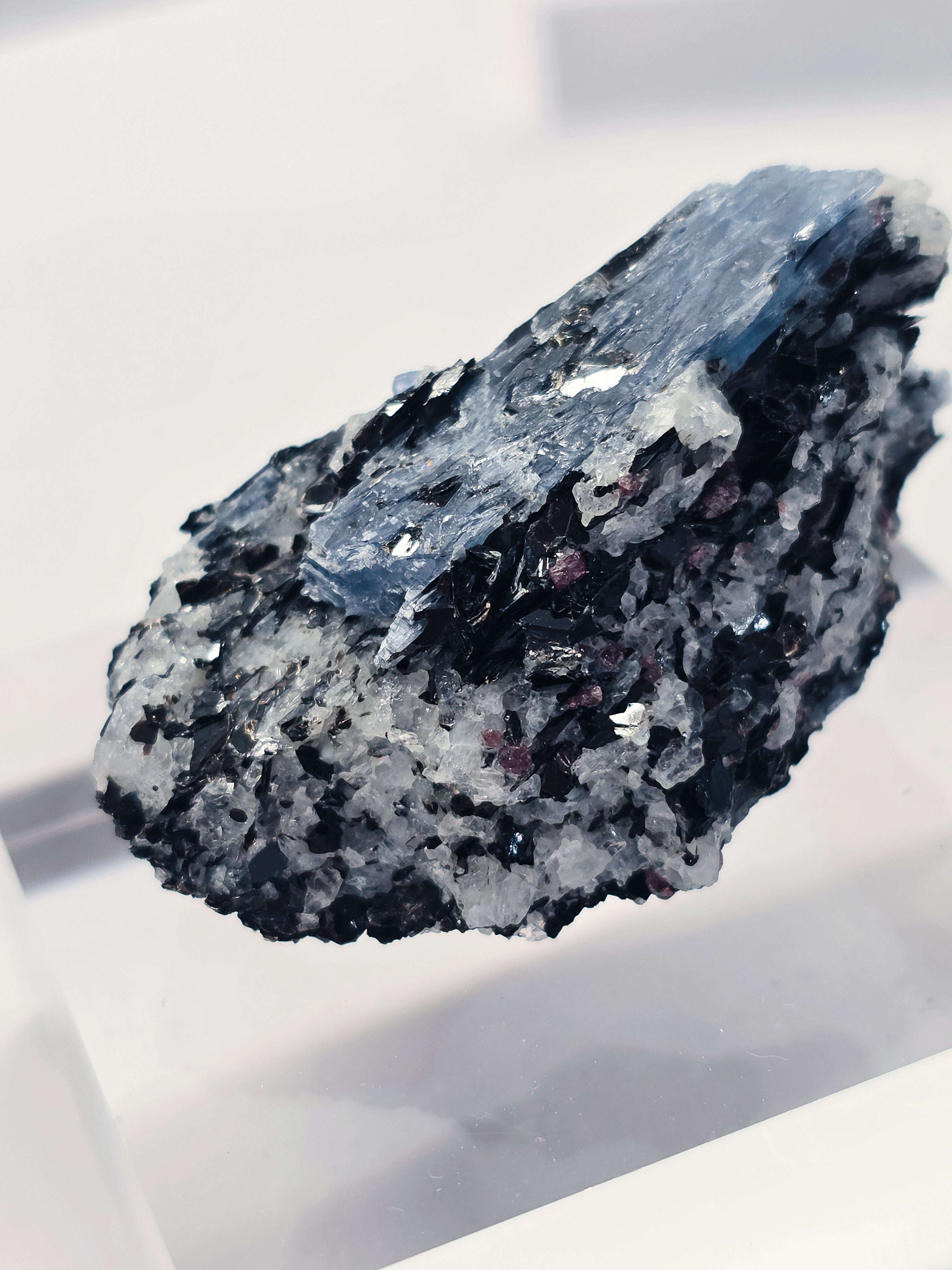 Specimen No. 061