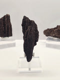 Specimen No. 062