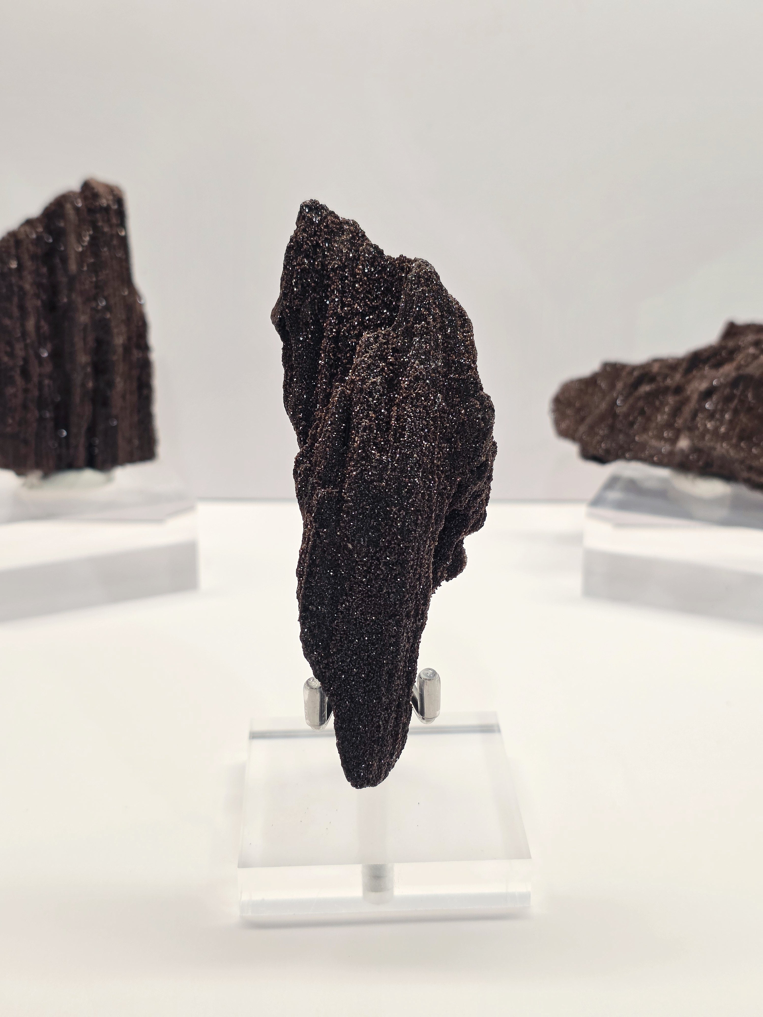 Specimen No. 062