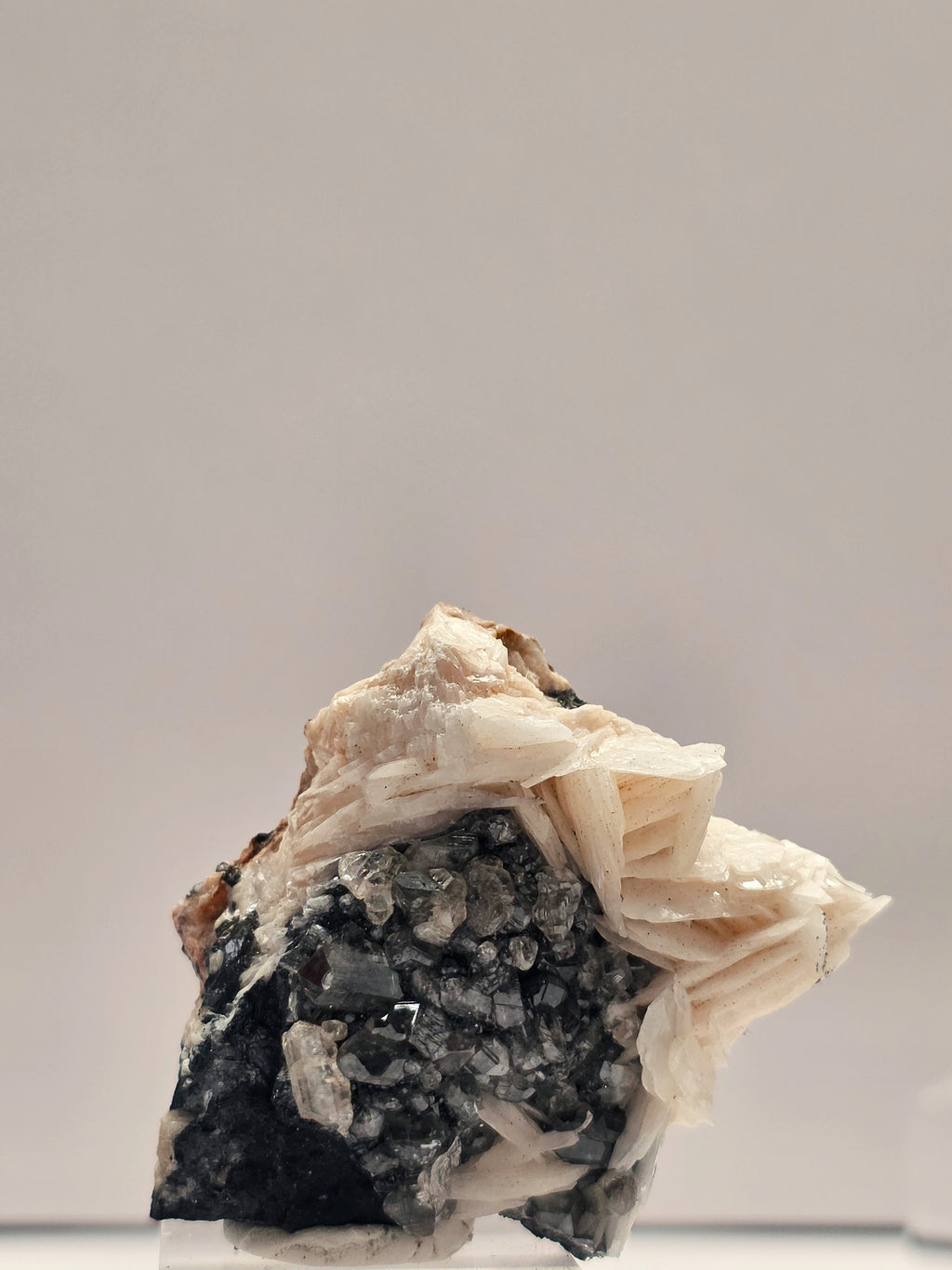 Specimen No. 040