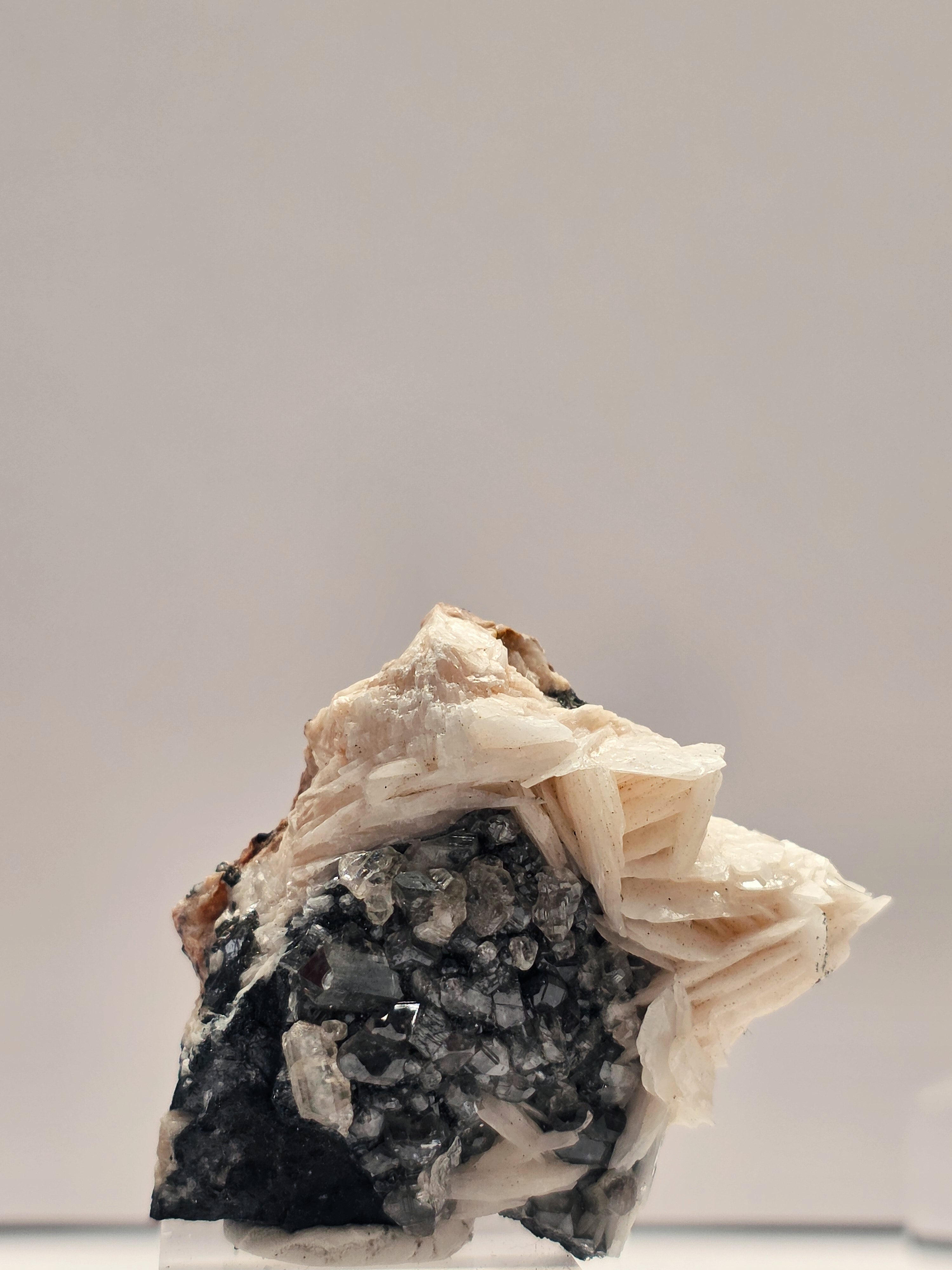 Specimen No. 040