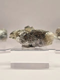 Specimen No. 030