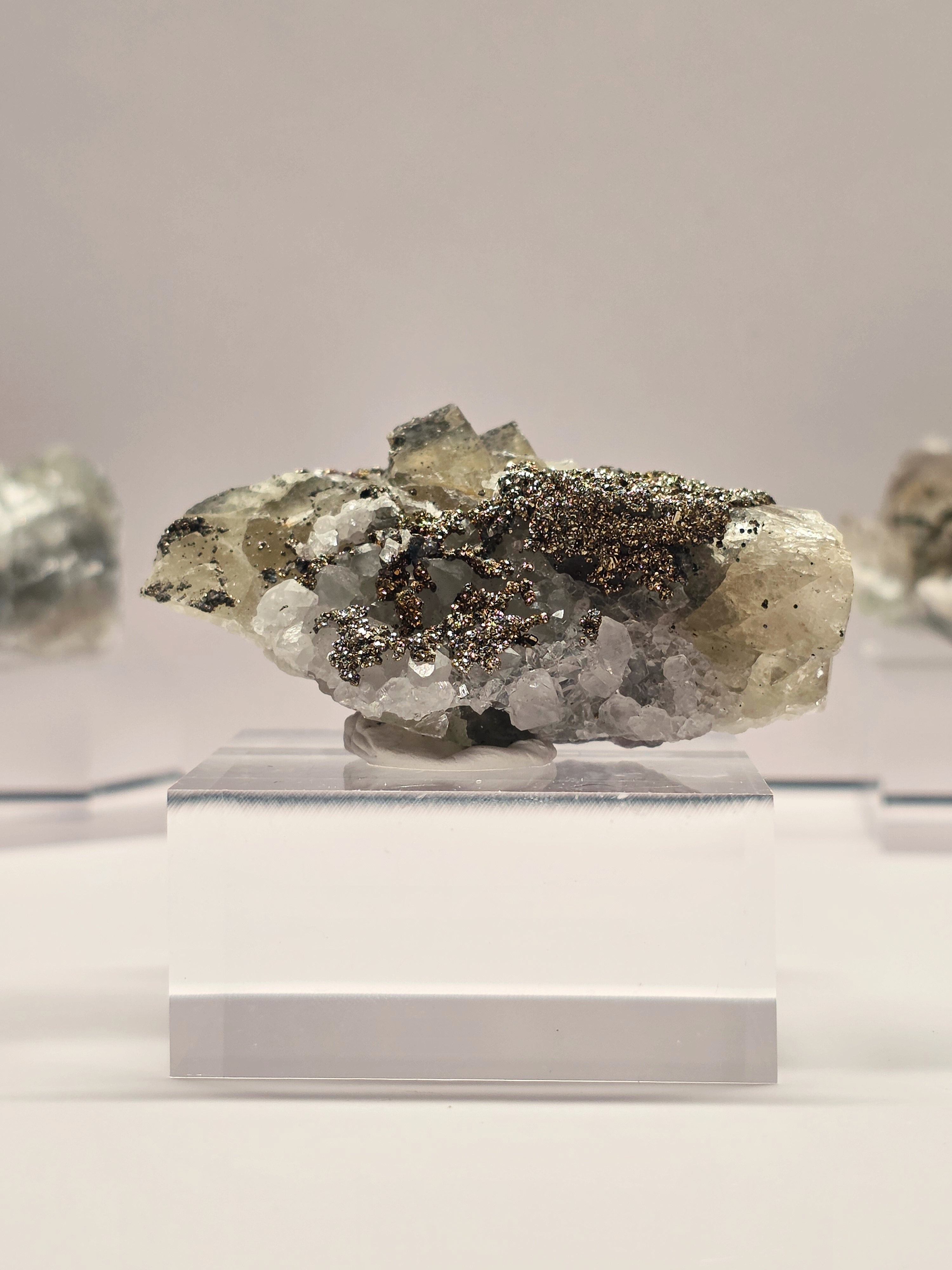 Specimen No. 030