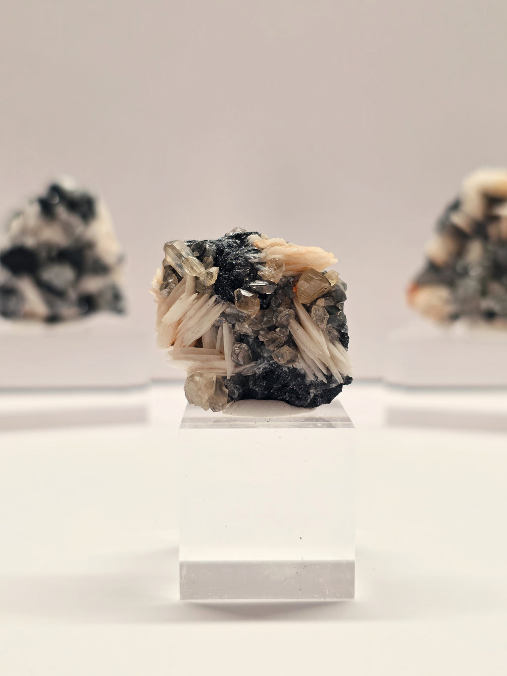 Specimen No. 031