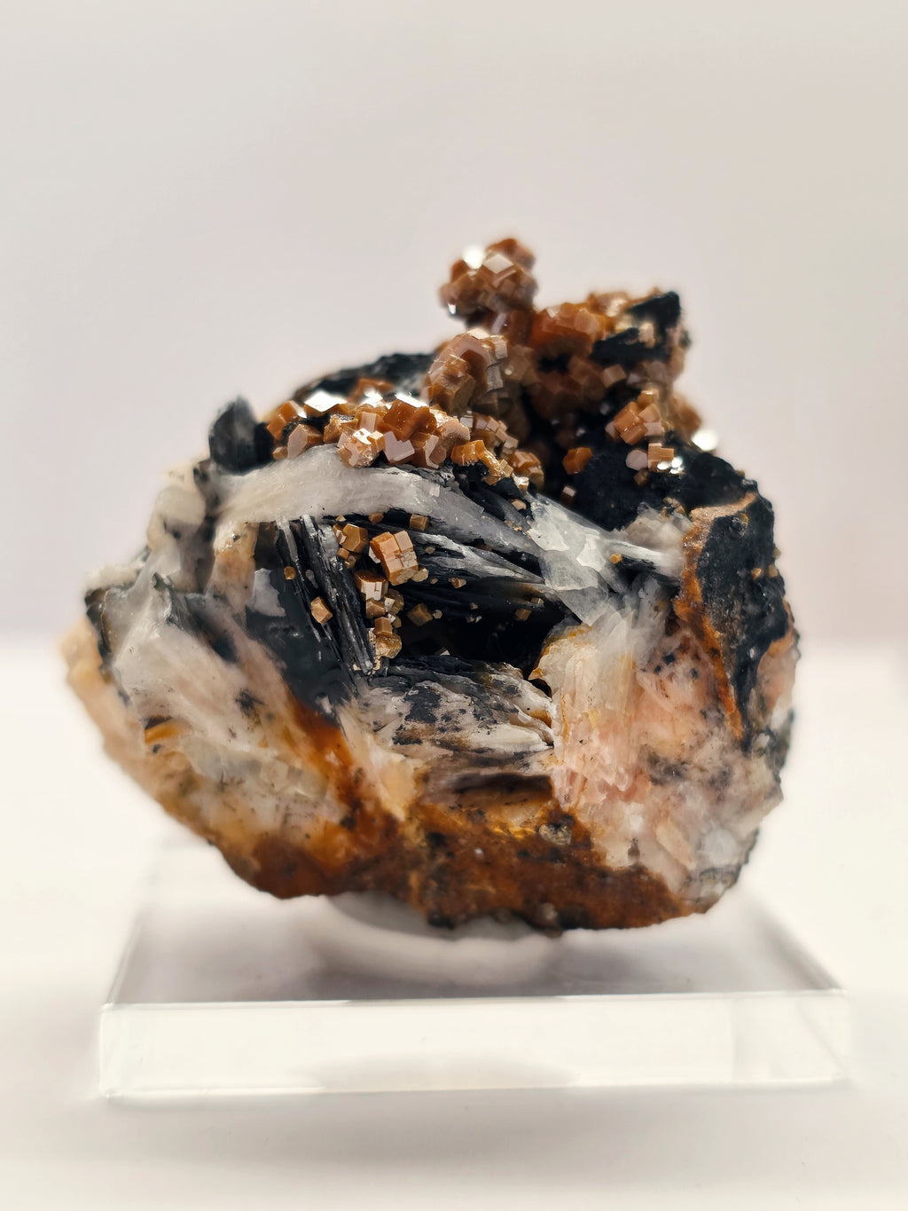 Specimen No. 211