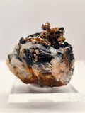 Specimen No. 211
