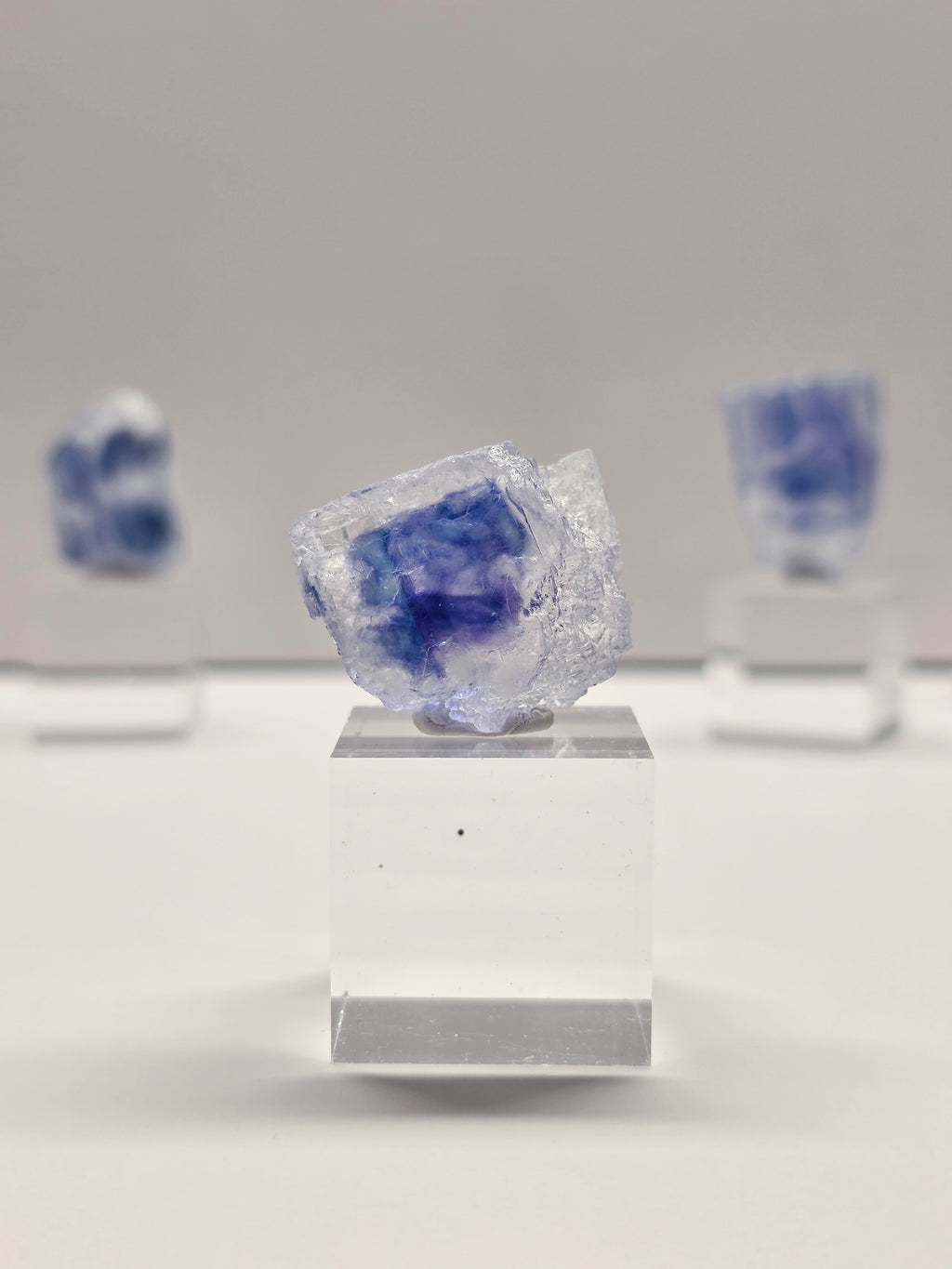 Specimen No. 012