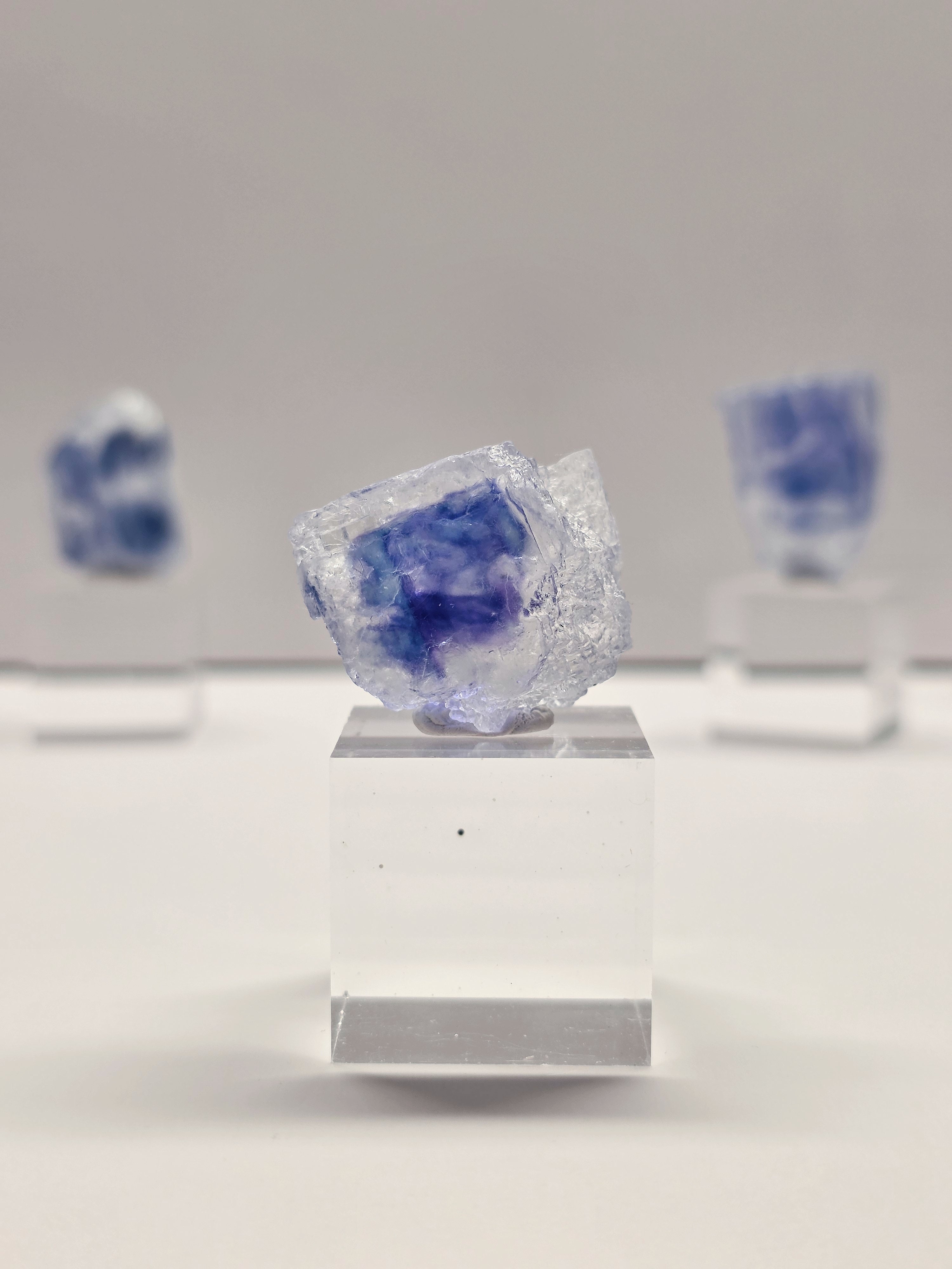 Specimen No. 012