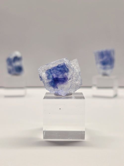 Specimen No. 012