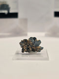 Specimen No. 133