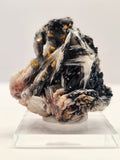 Specimen No. 209